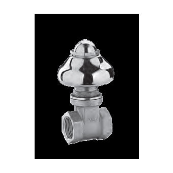 PROLUNGA PER SARACINESCA INCASSO